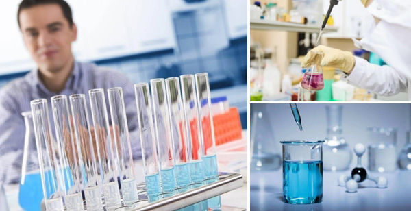 在制浆造纸领域拥有丰富的产品应用经验